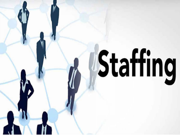 Staffing Solution
